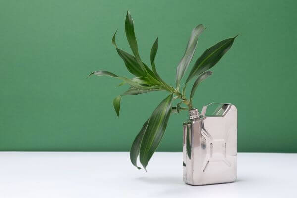 Technology's Crucial Role